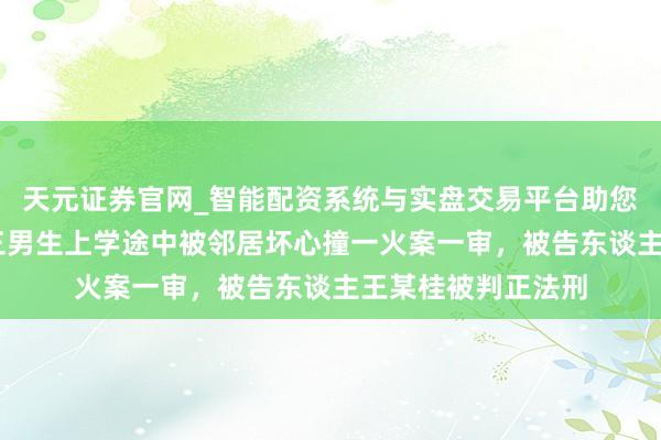 天元证券官网_智能配资系统与实盘交易平台助您高效理性投资 高三男生上学途中被邻居坏心撞一火案一审,被告东谈主王某桂被判正法刑
