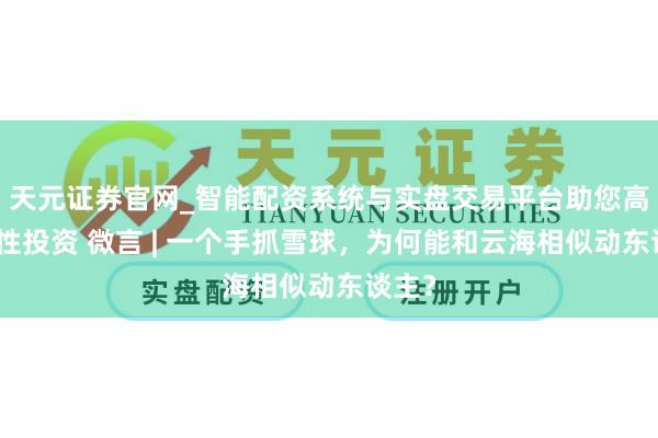 天元证券官网_智能配资系统与实盘交易平台助您高效理性投资 微言 | 一个手抓雪球，为何能和云海相似动东谈主？